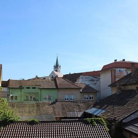 The Oasis By Downtown Apartments Târgu-Mureş 外观 照片