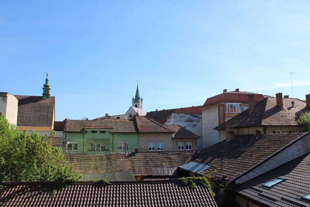 The Oasis By Downtown Apartments Târgu-Mureş 外观 照片