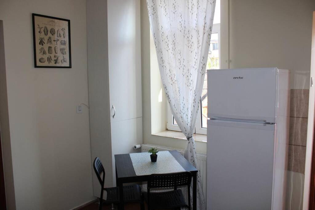 The Oasis By Downtown Apartments Târgu-Mureş 外观 照片