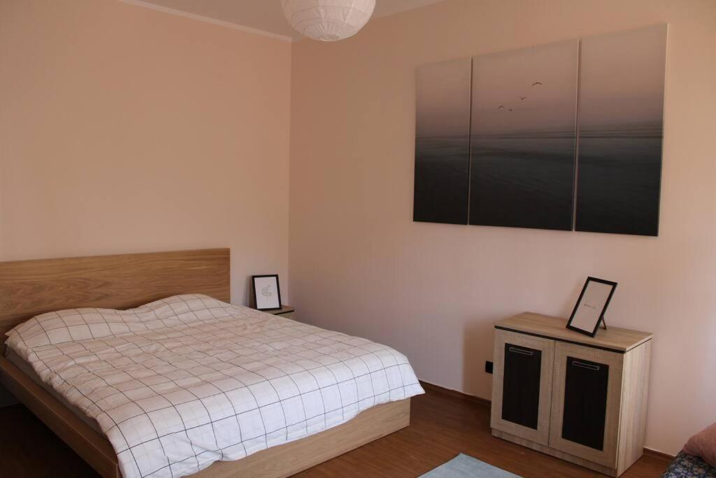 The Oasis By Downtown Apartments Târgu-Mureş 外观 照片