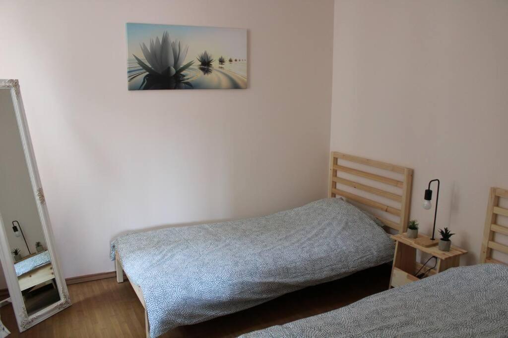The Oasis By Downtown Apartments Târgu-Mureş 外观 照片
