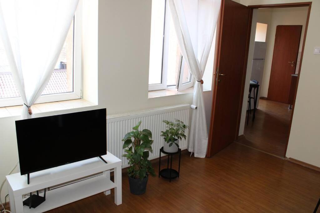 The Oasis By Downtown Apartments Târgu-Mureş 外观 照片